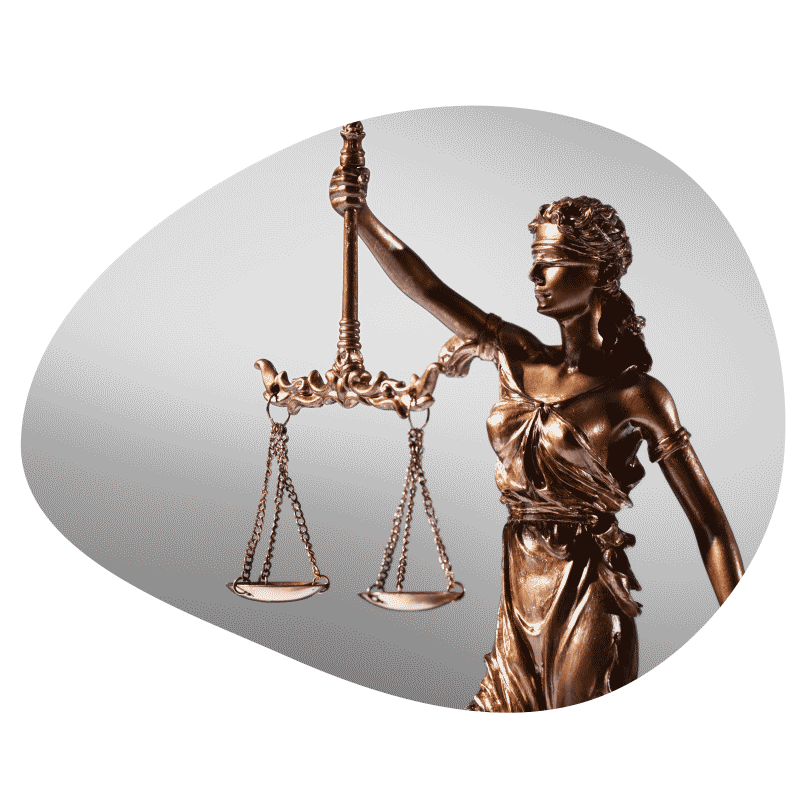 وکیل حقوقی